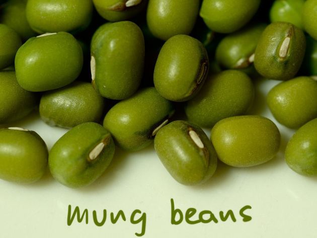 Mung bean Thailand Green Mung Beans Thailand Green Mung Beans Manufacturers