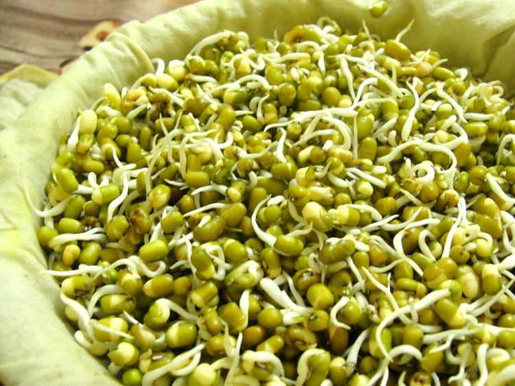 Mung bean How to Sprout Mung Beans 9 Steps with Pictures wikiHow