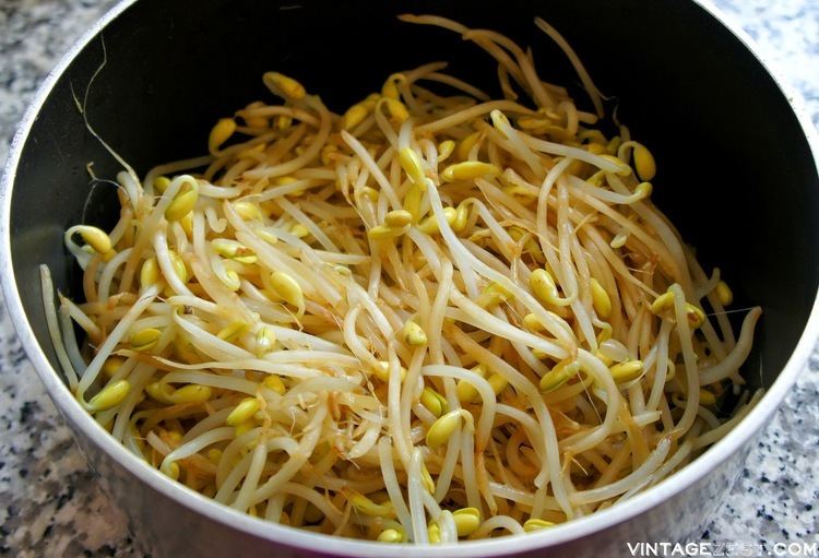 Mung bean sprout Korean Bean Sprouts Salad Sukju Namul Muchim Diane39s Vintage Zest