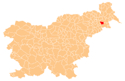 Municipality of Sveti Tomaž Municipality of Sveti Toma Wikipedia