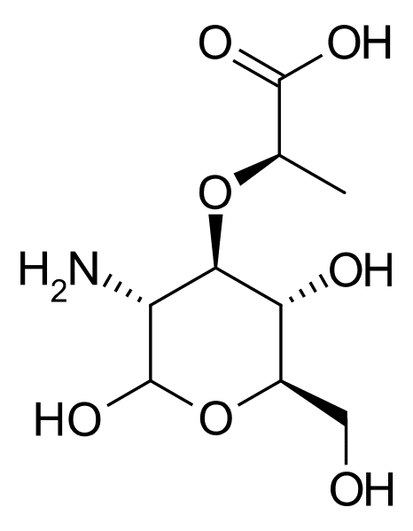 Muramic acid Difference Between Peptidoglycan and MuramicAcid Peptidoglycan vs