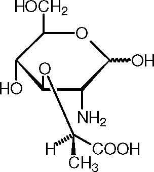 Muramic acid Muramic Acid Related Keywords amp Suggestions Muramic Acid Long Tail