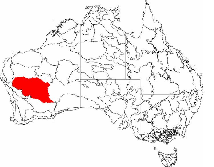 Murchison (biogeographic region)