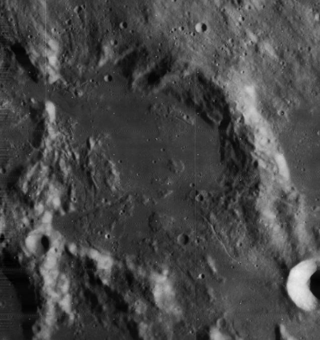 Murchison (crater)