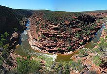 Murchison River (Western Australia) httpsuploadwikimediaorgwikipediacommonsthu