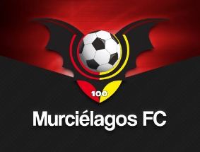 Murciélagos F.C. Murcilagos FC de Los Mochis ser apoyado por la barra quotLa Rabiaquot