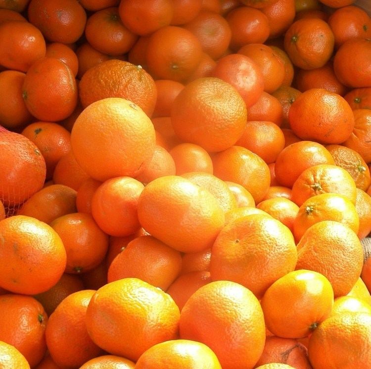 Murcott (fruit) What are Murcott Mandarins When in Season Eat Like No One Else