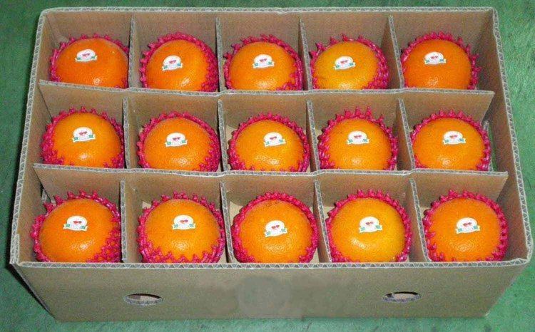 Murcott (fruit) Murcott Fresh Citrus Murcott Fresh Citrus Suppliers and