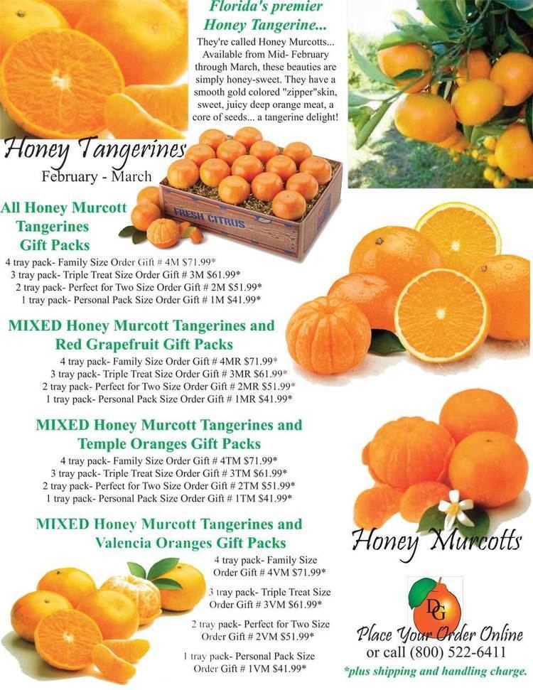 Murcott (fruit) Dooley Groves Inc Honey Murcott Tangerines Fresh Florida Citrus
