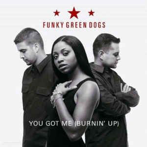 Murk (band) Funky Green Dogs You Got Me Burnin39 Up Vinyl at Discogs