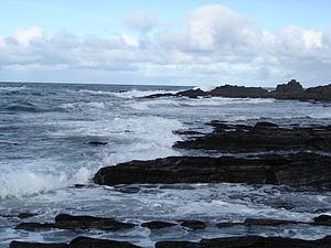 Murman Coast httpsuploadwikimediaorgwikipediacommonsthu