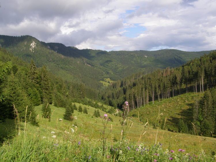 Muránska planina FileMurnska planina sedlo Randavica pohled V 02jpg Wikimedia