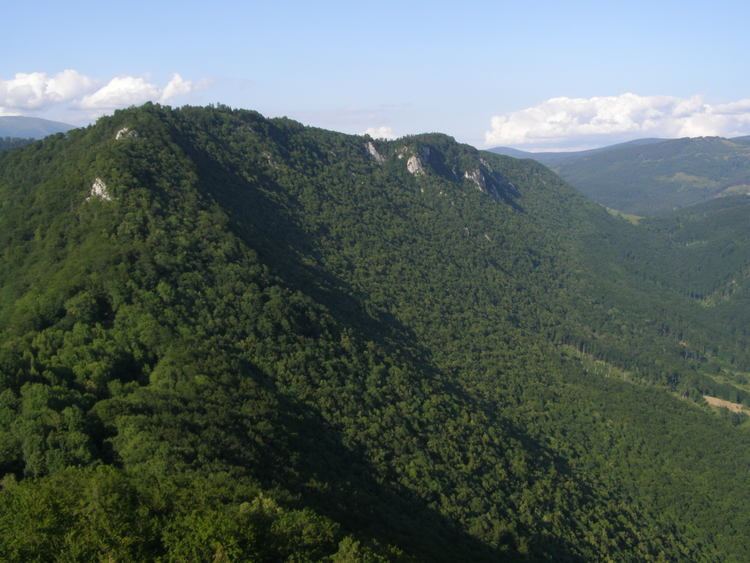 Muránska planina httpsuploadwikimediaorgwikipediacommons11