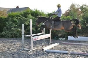 Murphy Himself A jumping breakthrough thanks to Murphy Himself eVenting