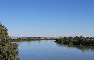 Murray River httpsuploadwikimediaorgwikipediacommonsthu