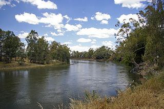 Murrumbidgee River httpsuploadwikimediaorgwikipediacommonsthu