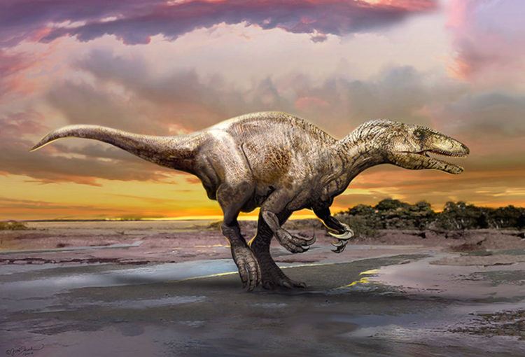 Murusraptor Murusraptor barrosaensis New Dinosaur Species Discovered in
