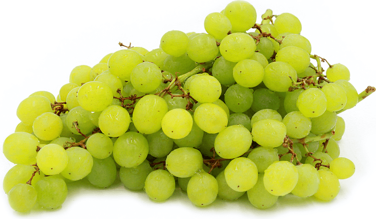 Muscat (grape) Green Muscat Grapes Information Recipes and Facts