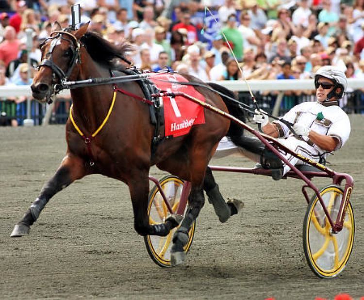 Muscle Hill Muscle Hill wins Hambletonian record time at the Meadowlands NY