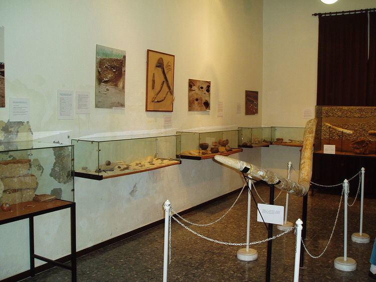 Museo Arqueológico Municipal de El Puerto de Santa María