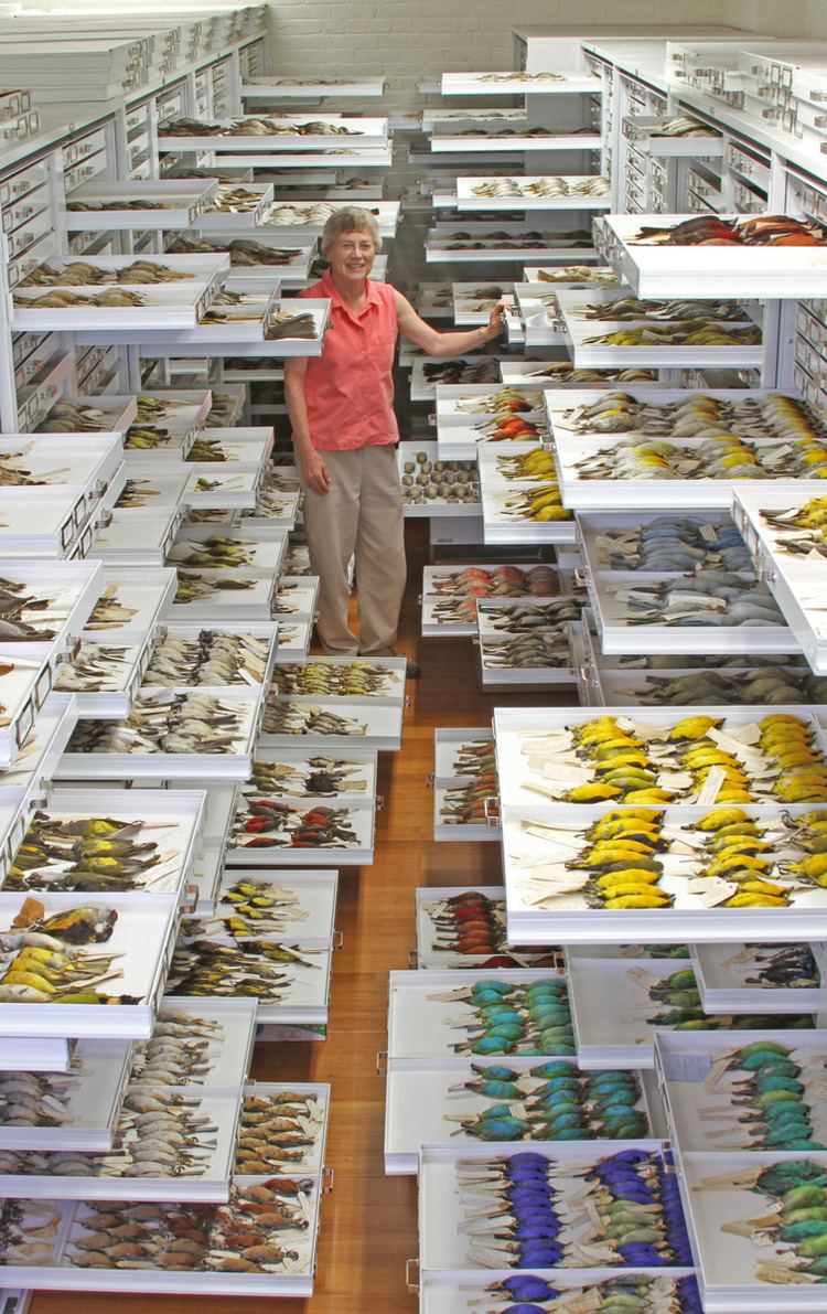Museum of Comparative Zoology