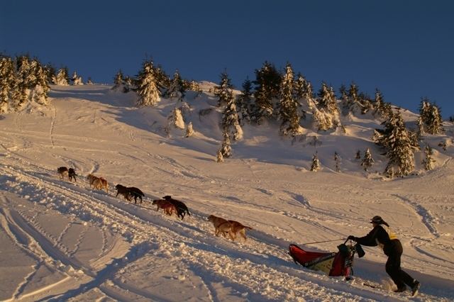 Mushing