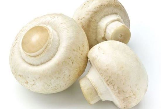 Mushroom 11 Interesting Benefits of Mushroom Organic Facts