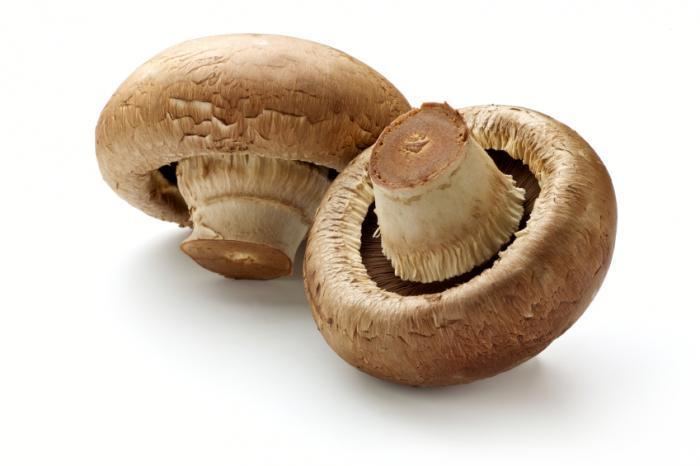 Mushroom Mushrooms Nutritional value and health benefits Medical News Today