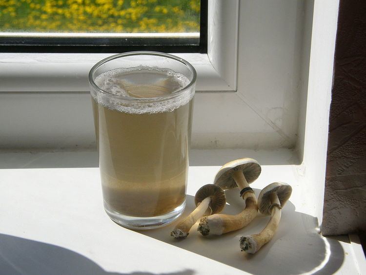 Mushroom tea