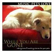 Music Pets Love: While You Are Gone httpsuploadwikimediaorgwikipediaenthumb4