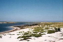 Muskeget Island httpsuploadwikimediaorgwikipediacommonsthu