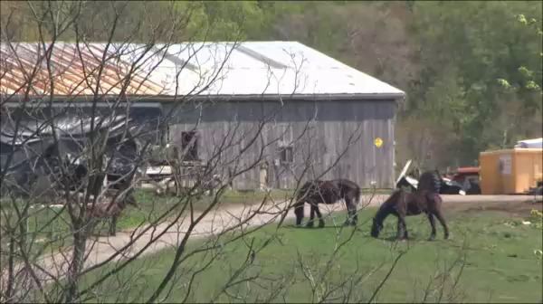 Muskingum County Animal Farm Gov Kasich Joins Zanesville Exotic Animal Battle WBNS10TV