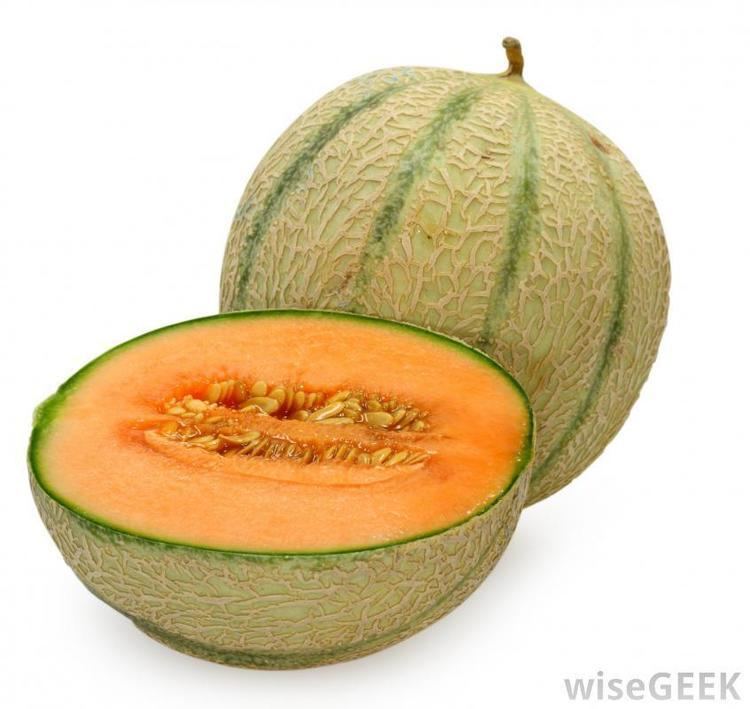 Muskmelon What is a Muskmelon with pictures