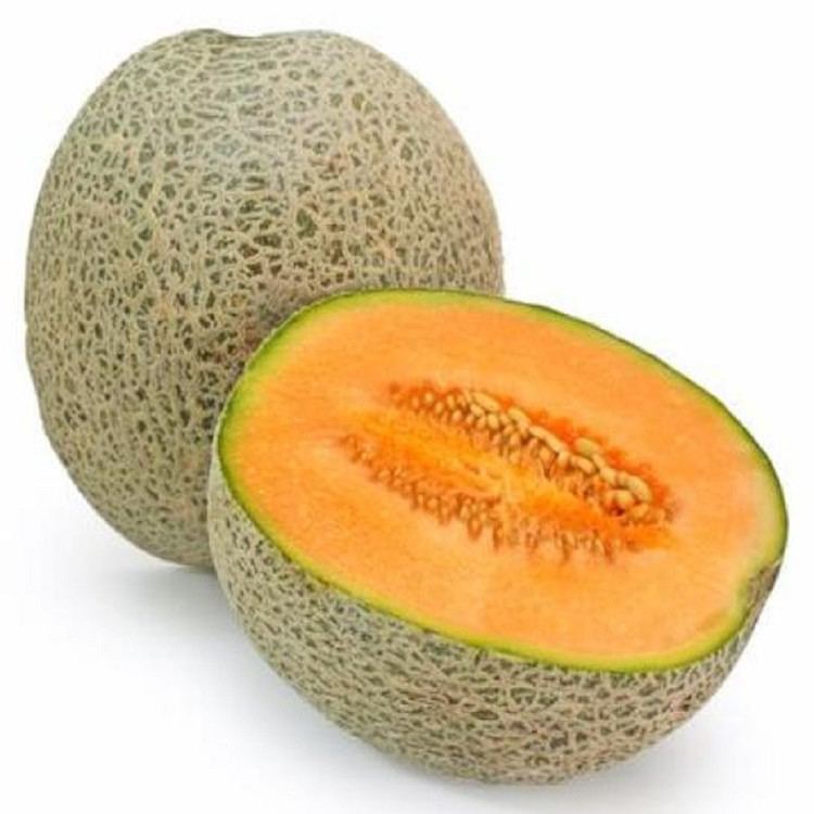 Muskmelon Muskmelon Biocarve Seeds