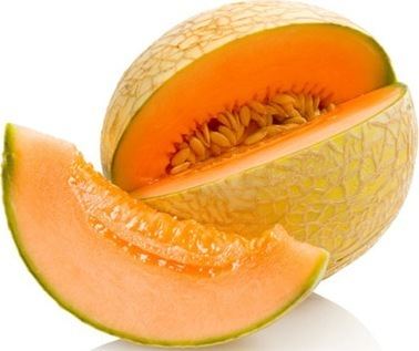 Muskmelon Cantaloupe Farming Musk melonKharbooj Agrifarmingin