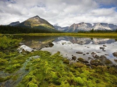 Muskwa-Kechika Management Area Cutting Edge Science Faces Off With Climate Change Yellowstone to