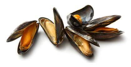 Mussel How To Cook Mussels Mussel Cooking Tips Cooking With PEI Mussels