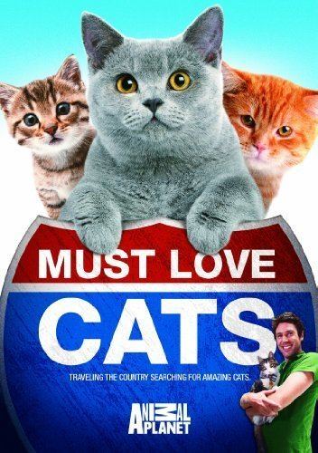 Must Love Cats Amazoncom Must Love Cats Movies amp TV