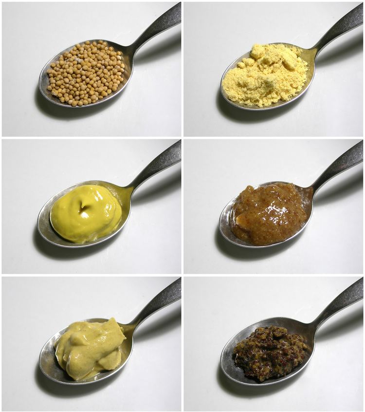 Mustard (condiment) Mustard condiment Wikipedia