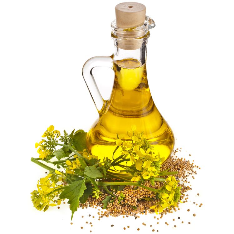 Mustard oil 9 health benefits of mustard oil HealthifyMe Blog