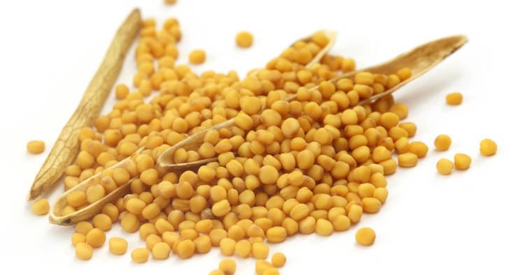 Mustard seed Power of Mustard Seed For Cancer and Healthy Digestion
