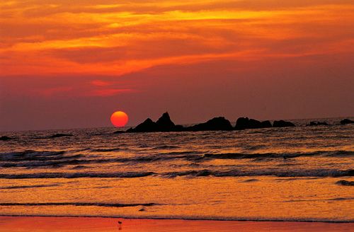 Muzhappilangad Beach