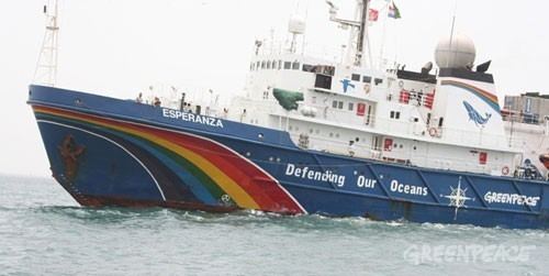 MV Esperanza Greenpeace ship MV Esperanza docks in Chennai for 39Defending our