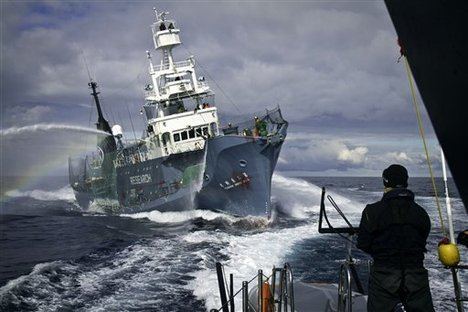 MV Shōnan Maru 2 Sea Shepherd clashes with Japanese whalers WorldNews