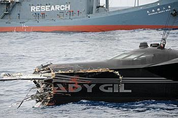 MV Shōnan Maru 2 Japan Issues Arrest Warrant for Sea Shepherd Founder Paul Watson