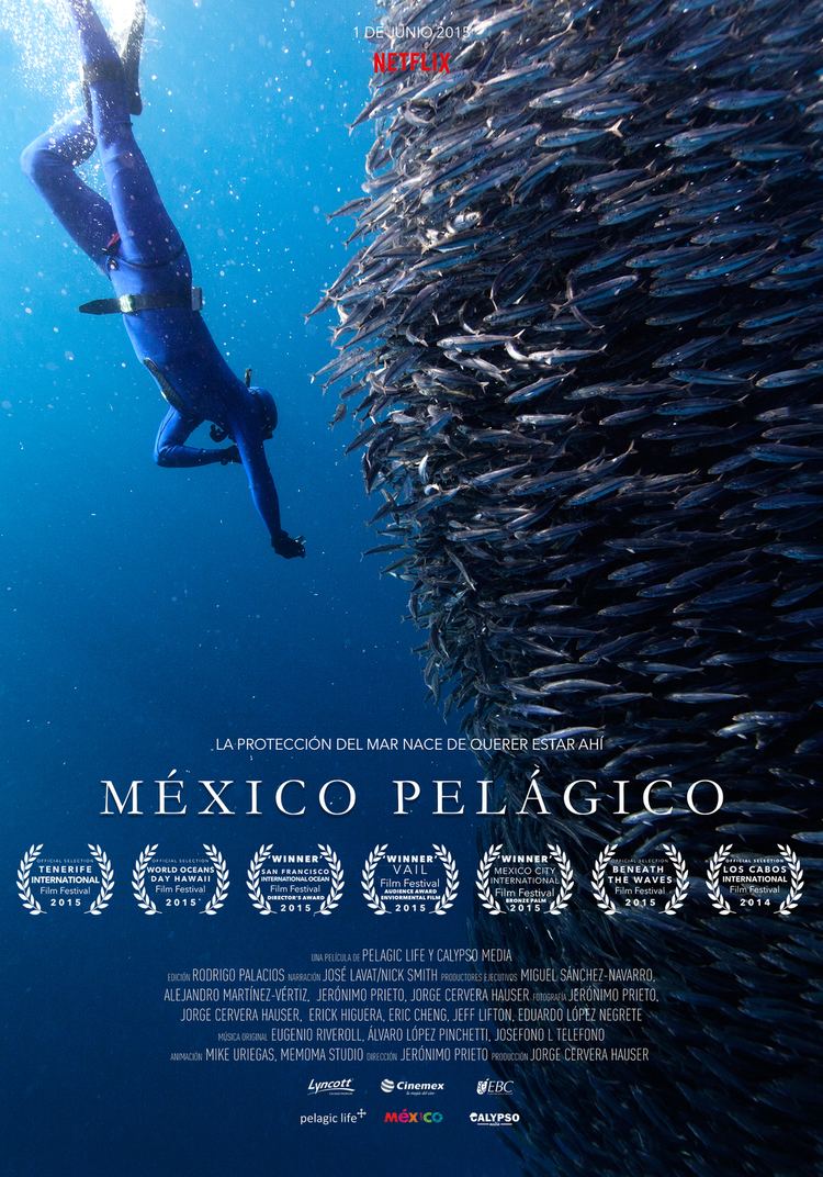 México Pelágico Documental Mxico Pelagico Pelagic Life