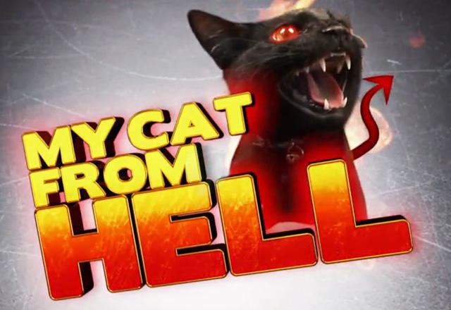 My Cat from Hell My Cat From Hell TV Show News Videos Full Episodes and More