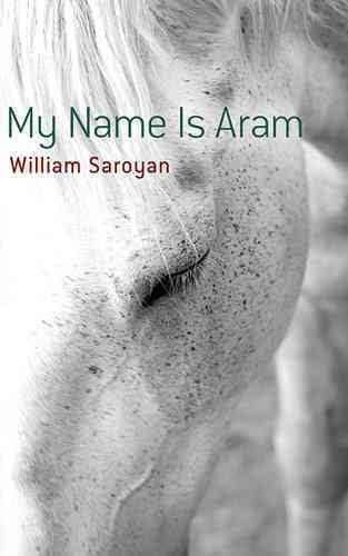 My Name Is Aram t2gstaticcomimagesqtbnANd9GcSy2aa0tP7BP1LrkN