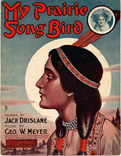 My Prairie Song Bird