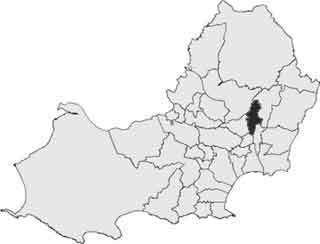 Mynyddbach (electoral ward)